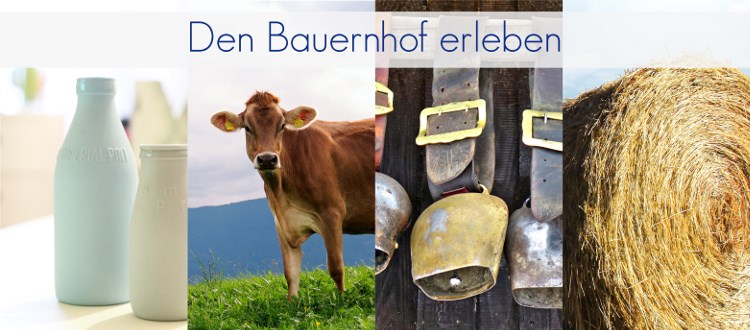 Bayerischer Wald: Den Bauernhof erleben
