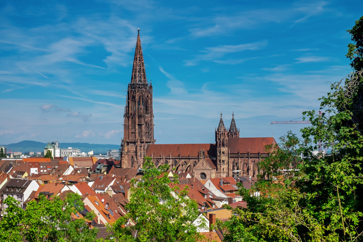 Freiburger Münster (Bild von couleur auf pixabay)